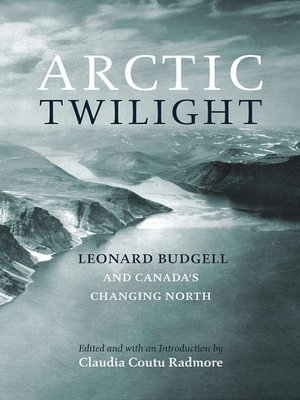 cover image of Arctic Twilight